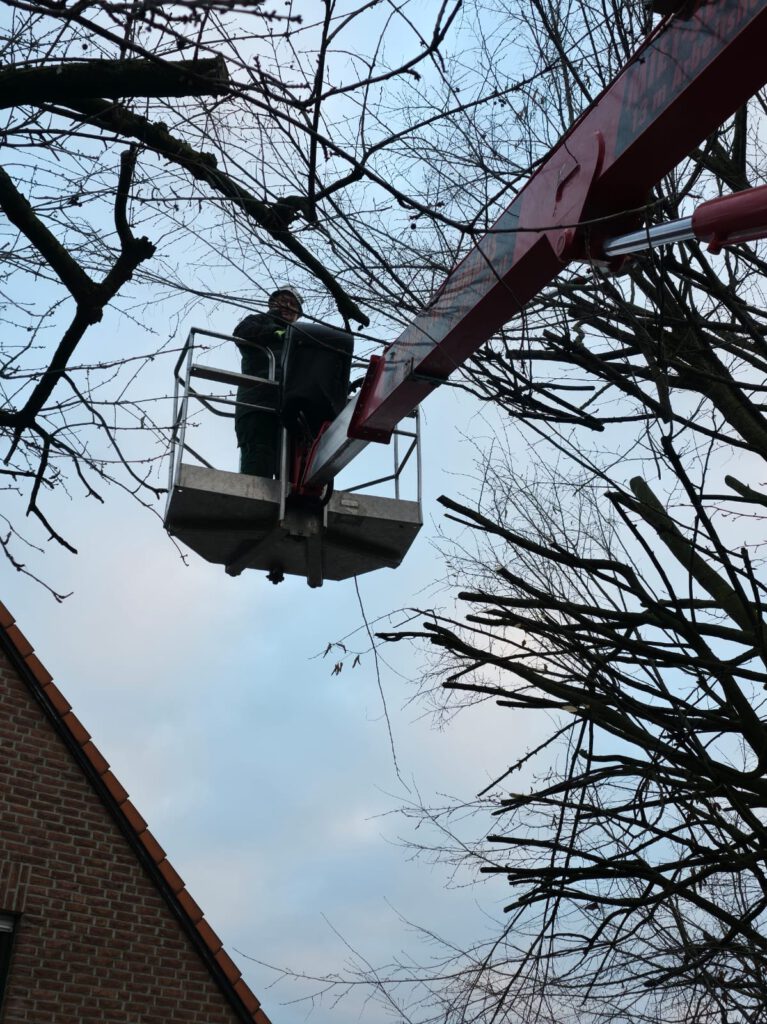 4ecc5d3f 2157 4dcd ad15 67703734a23f